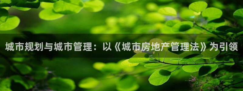 和记游戏官网：城市规划与城市管理：以《城市房地产管理法》为引
