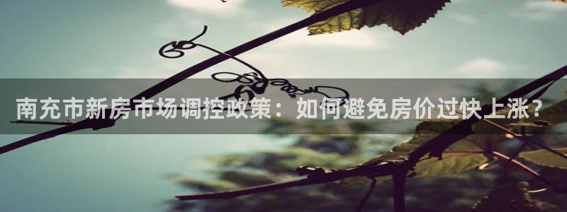 和记h88官网登陆：南充市新房市场调控政策：如何避免房价过快