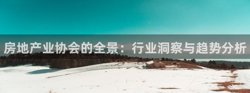 和记hgc官网：房地产业协会的全景：行业洞察与趋势分析
