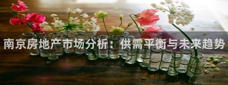 和记开户官网：南京房地产市场分析：供需平衡与未来趋势