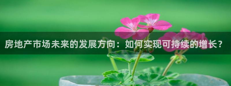 长江和记官网：房地产市场未来的发展方向：如何实现可持续的增长