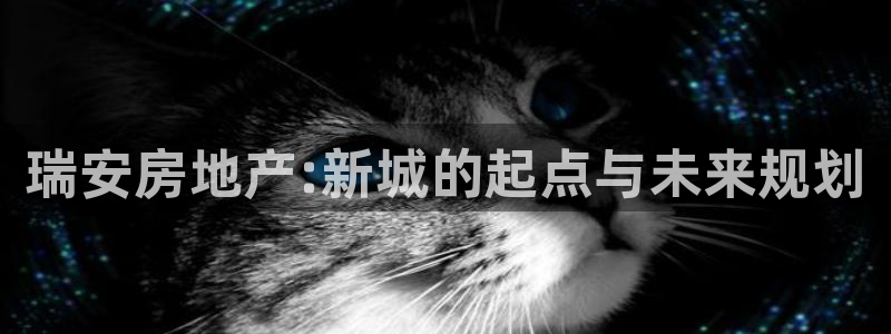 胡和记面官网：瑞安房地产:新城的起点与未来规划