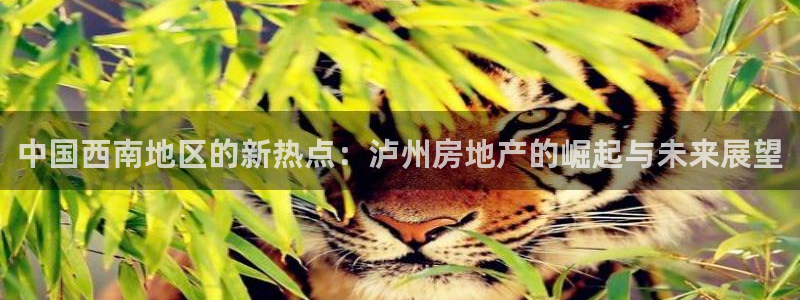 和记怡情博娱官网：中国西南地区的新热点：泸州房地产的崛起与未