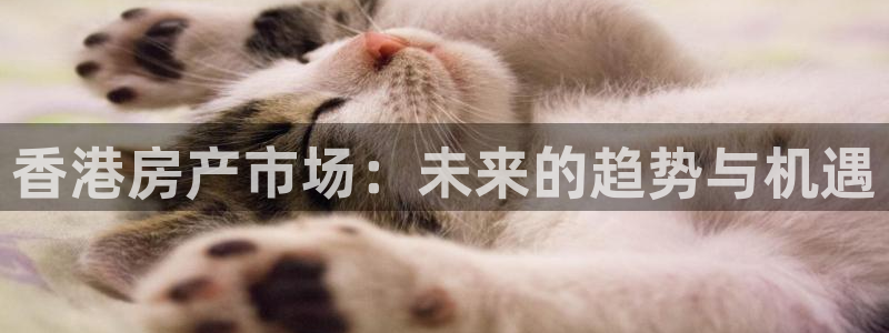香港和记电讯公司官网：香港房产市场：未来的趋势与机遇