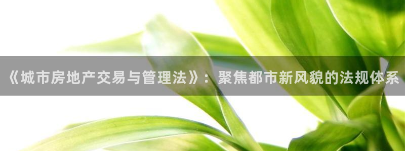 和记娱安全h88285官网：《城市房地产交易与管理法》：聚焦