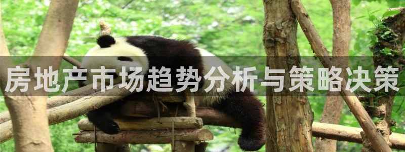 和记app官网登录：房地产市场趋势分析与策略决策