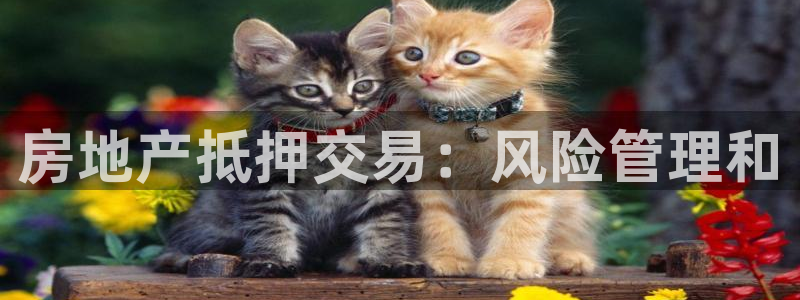 h88和记官网：房地产抵押交易：风险管理和