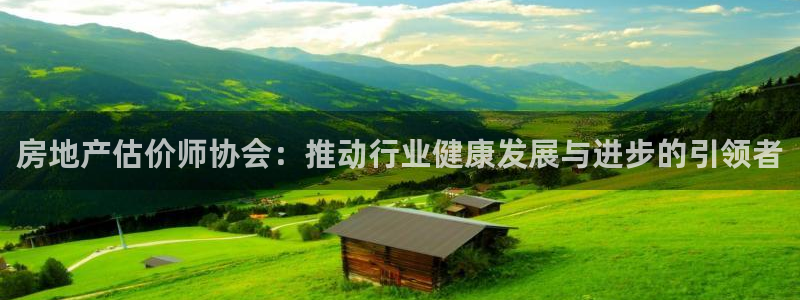 和记国际官网：房地产估价师协会：推动行业健康发展与进步的引领