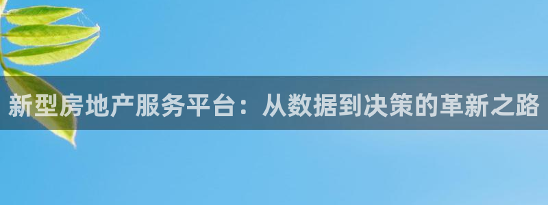 和记怡情h88官网中文版：新型房地产服务平台：从数据到决策的