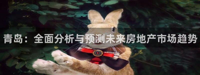 和记怡情博物官网：青岛：全面分析与预测未来房地产市场趋势