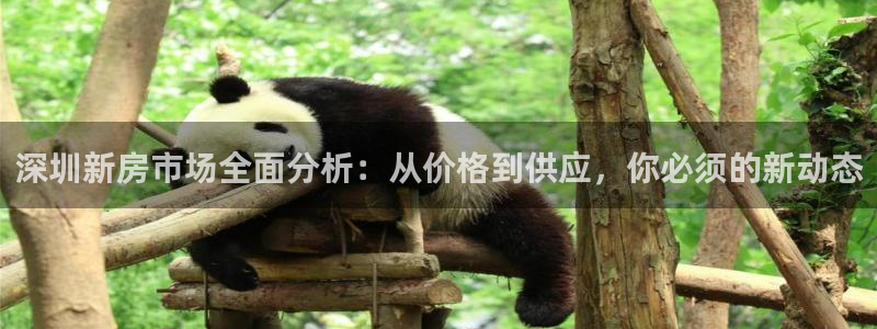 和记hgc官网：深圳新房市场全面分析：从价格到供应，你必须的