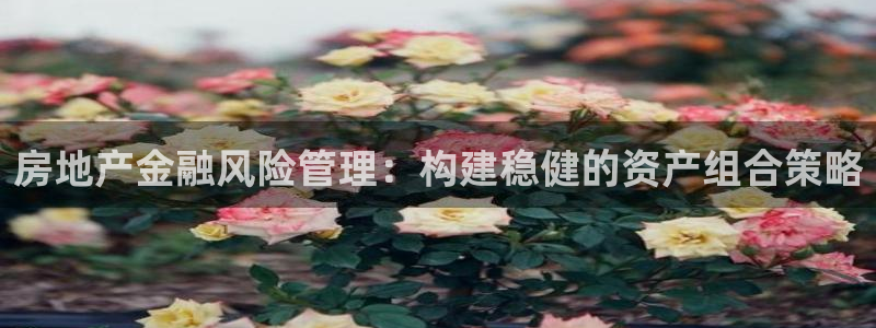 和记3电讯官网：房地产金融风险管理：构建稳健的资产组合策略