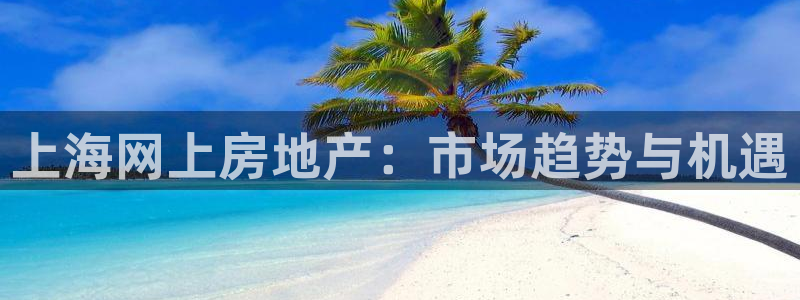 和记官网是一个什么平台：上海网上房地产：市场趋势与机遇