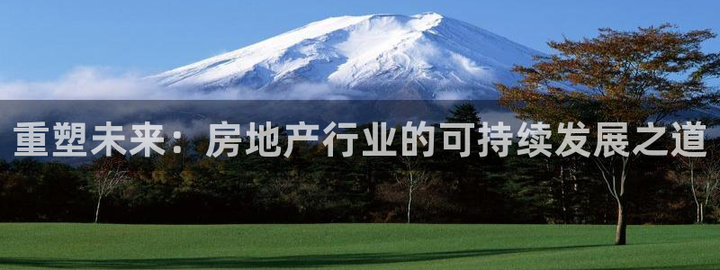 长江和记官网：重塑未来：房地产行业的可持续发展之道