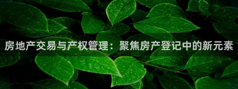 和记黄埔官网攻略
