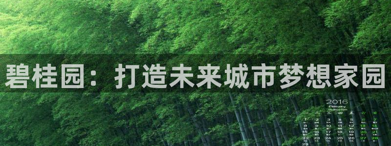 和记娱实惠h88285官网：碧桂园：打造未来城市梦想家园