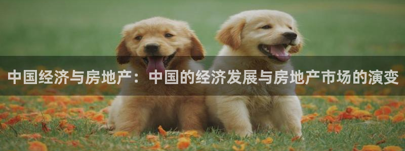 香港和记3官网：中国经济与房地产：中国的经济发展与房地产市场