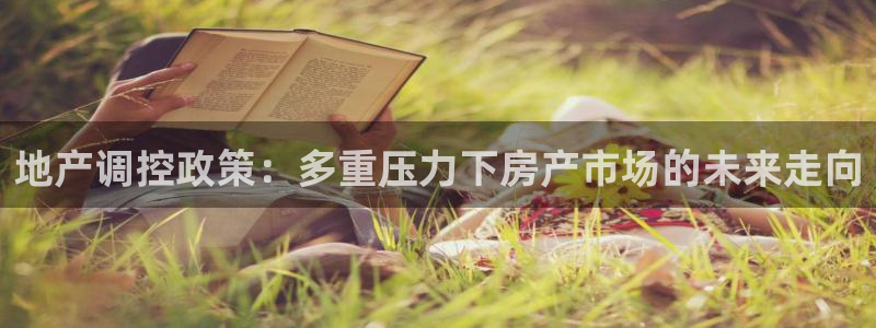 和记官网和记：地产调控政策：多重压力下房产市场的未来走向