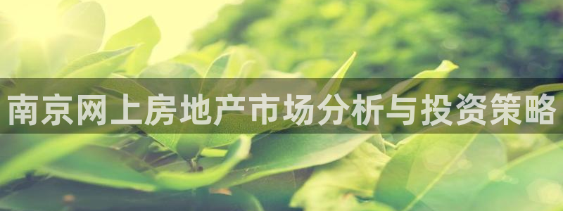 果博官网和记：南京网上房地产市场分析与投资策略
