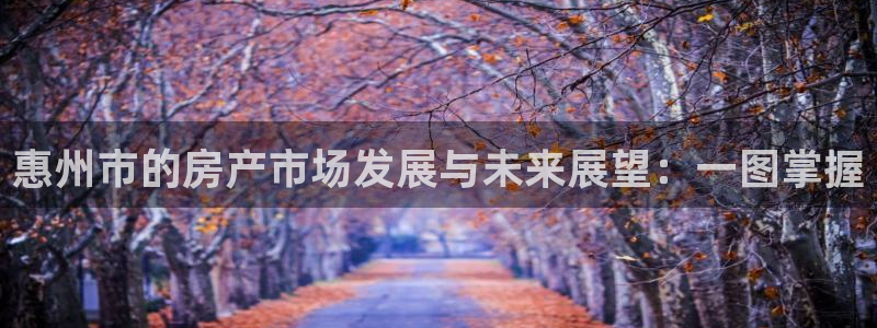 香港和记电信官网：惠州市的房产市场发展与未来展望：一图掌握