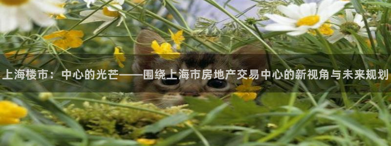 3g和记官网：上海楼市：中心的光芒——围绕上海市房地产交易中