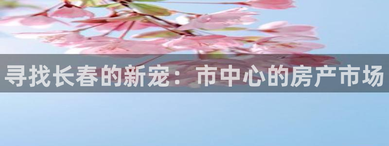 和记官网客户端：寻找长春的新宠：市中心的房产市场