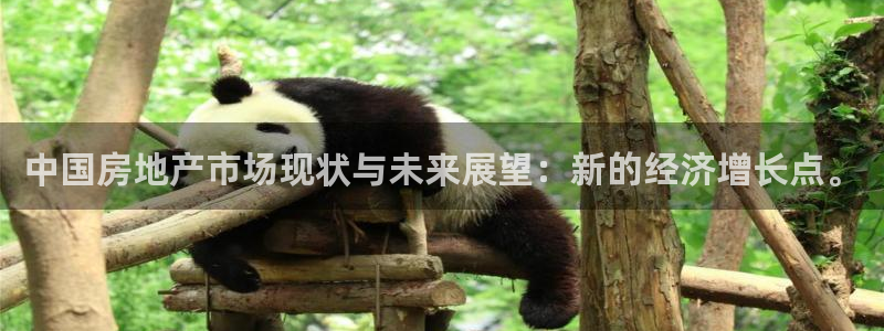 长江和记集团官网