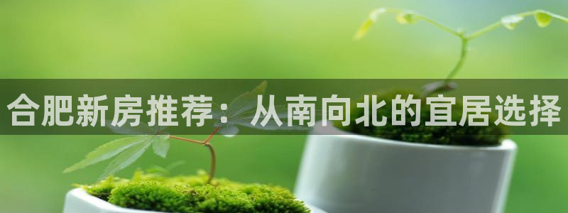 和记体育官网：合肥新房推荐：从南向北的宜居选择