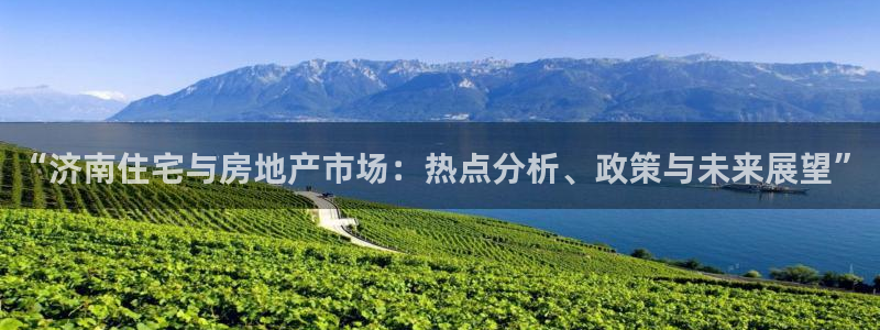 和记 官网：“济南住宅与房地产市场：热点分析、政策与未来展望