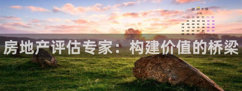 和记门店官网：房地产评估专家：构建价值的桥梁