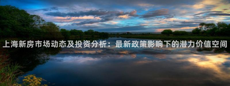 澳门和记电信官网：上海新房市场动态及投资分析：最新政策影响下