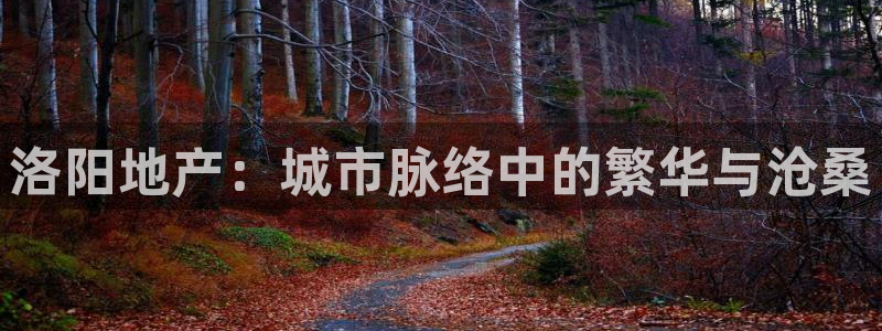 和记娱乐平台官网：洛阳地产：城市脉络中的繁华与沧桑