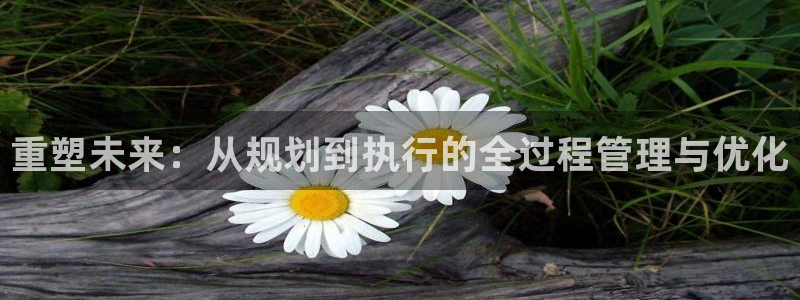 和记官网平台入口：重塑未来：从规划到执行的全过程管理与优化