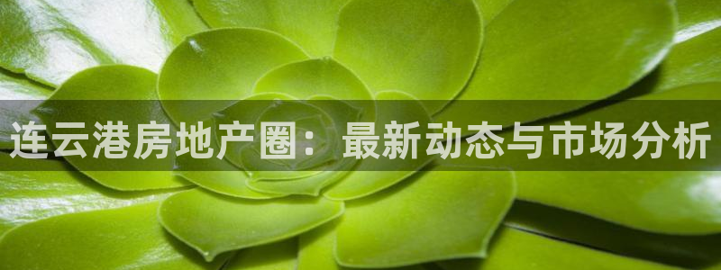 和记娱可信赖h88285官网：连云港房地产圈：最新动态与市场