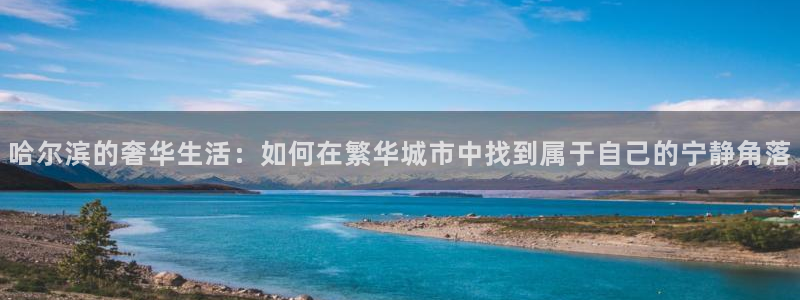 和记家家加盟官网：哈尔滨的奢华生活：如何在繁华城市中找到属于