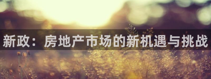 和记娱乐手机官网：新政：房地产市场的新机遇与挑战