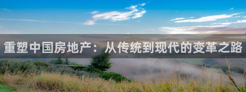 和记体育官网：重塑中国房地产：从传统到现代的变革之路