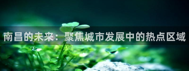 和记官网平台入口：南昌的未来：聚焦城市发展中的热点区域