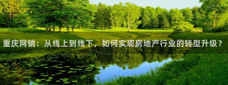 和记官网平台：重庆网销：从线上到线下，如何实现房地产行业的转