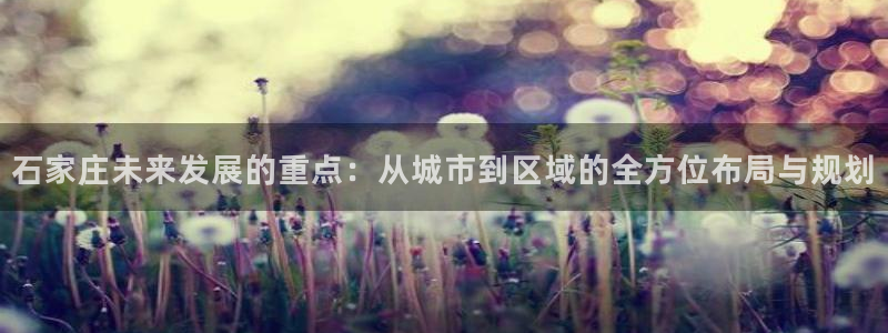 香港和记电讯官网：石家庄未来发展的重点：从城市到区域的全方位