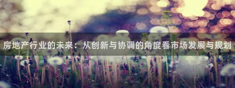 成都和记黄埔官网：房地产行业的未来：从创新与协调的角度看市场