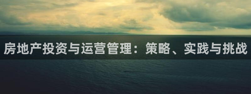 香港和记3hk官网：房地产投资与运营管理：策略、实践与挑战