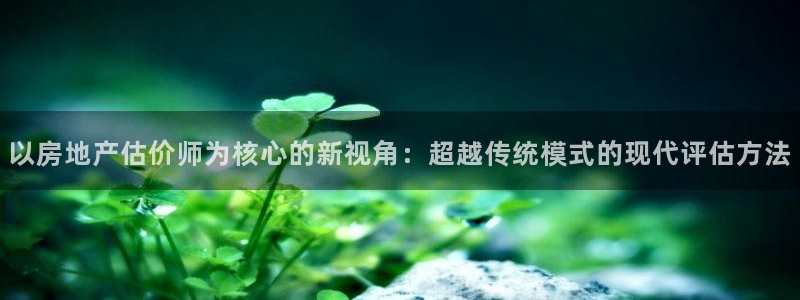 和记黄埔集团官网：以房地产估价师为核心的新视角：超越传统模式