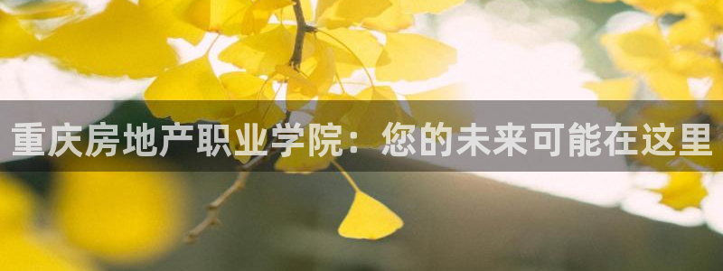 胡和记官网：重庆房地产职业学院：您的未来可能在这里