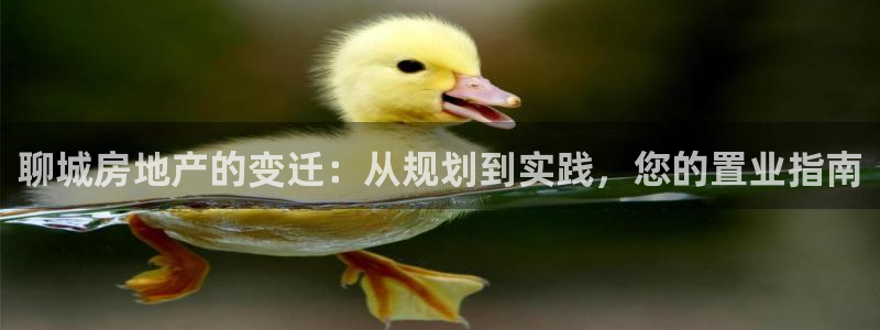 和记娱可信赖h88285官网：聊城房地产的变迁：从规划到实践