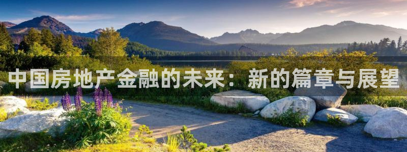 和记家家加盟官网：中国房地产金融的未来：新的篇章与展望