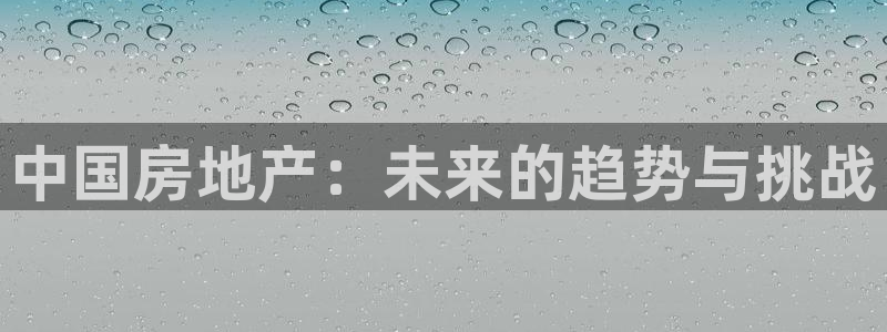 和记娱解答h88285官网：中国房地产：未来的趋势与挑战