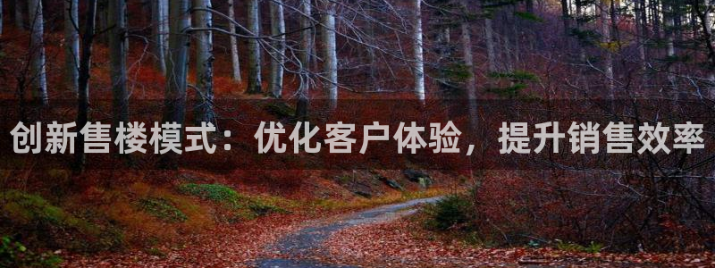 和记怡情博物官网：创新售楼模式：优化客户体验，提升销售效率