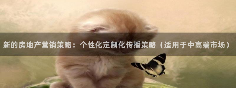 和记黄埔 官网：新的房地产营销策略：个性化定制化传播策略（适