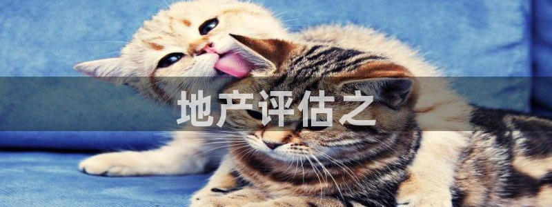 和记娱等级h88285官网：地产评估之